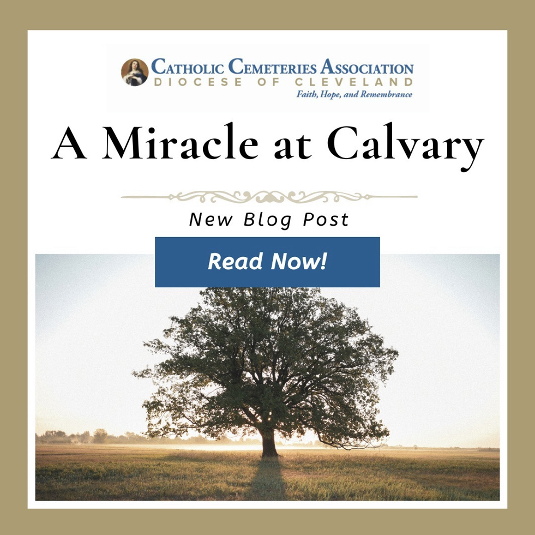Miracle at Calvary Blog
